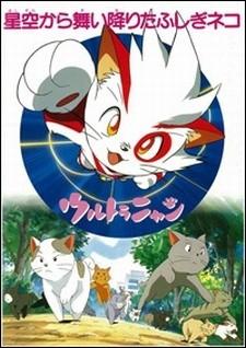 奥特猫 从天而降的不可思议猫咪