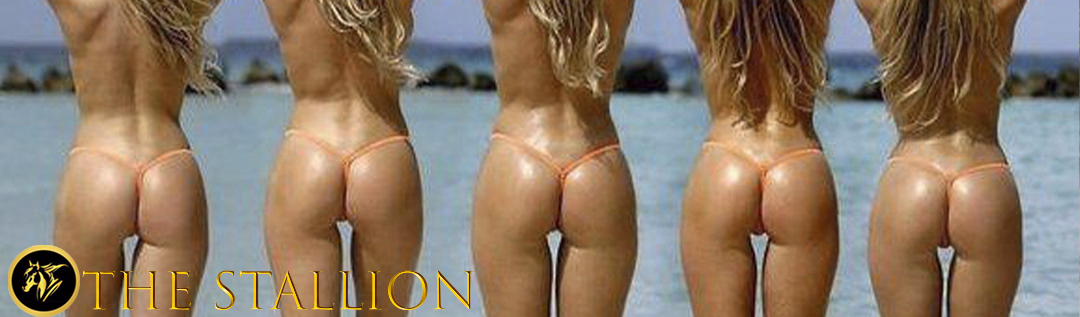 人形种马：搞砸的人生（The Stallion）v0.19 精翻汉化 游戏截图 1