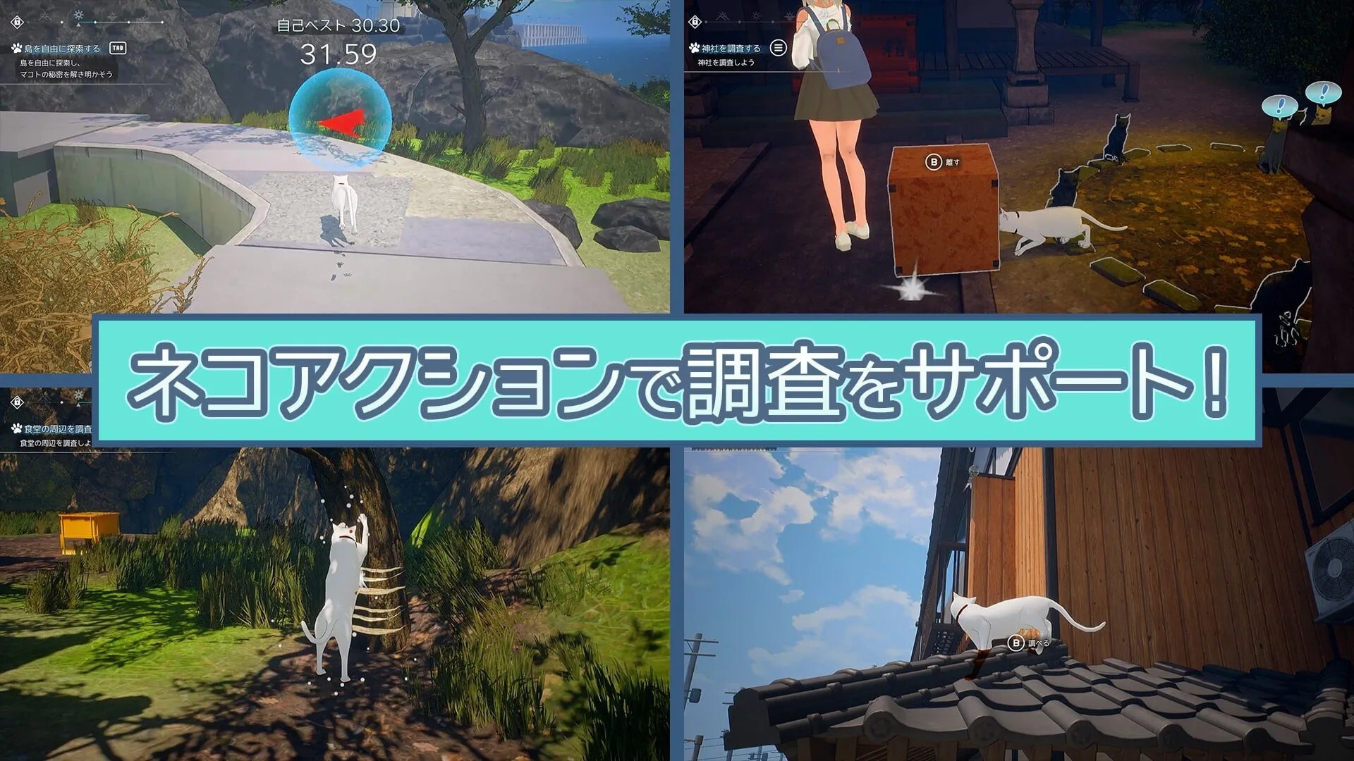 日式/ACT/3D/更新丨猫岛雨香 Cat Island Petrichor v1.0.3819 官中步兵版 【20260530】 游戏截图 6