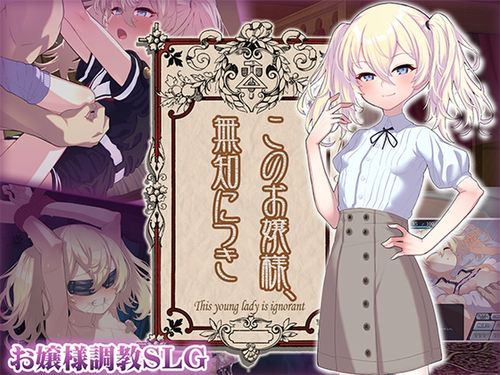 SLG/汉化丨这位小姐,因无知所致/このお嬢様、無知につき V5 Ver1.2.3 AI汉化版【20250528】 游戏截图 2
