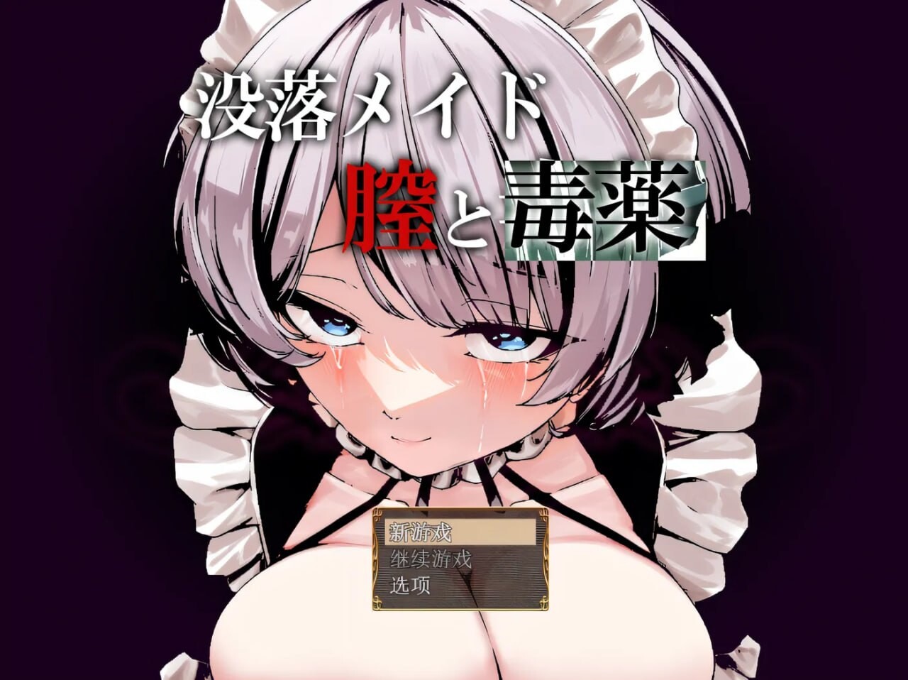 RPG汉化丨堕落女仆阴道与毒药/没落メイド膣と毒薬  【20250805】 游戏截图 2