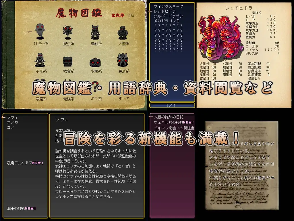 曰式RPG/新汉化/双端丨龙之星～抵抗沉沦淫欲的女骑士与思乡的魔法少女～ DRAGON PLANET～堕淫に抗う女騎士と望郷の魔法少女～  ver2.03正式版 【20250925】 游戏截图 2