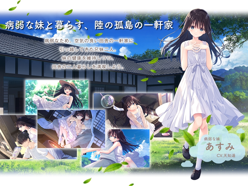 探索RPG/日常/新作丨 沉溺于炽热爱情的乡间隐居的兄长与，充满古典韵味的病弱妹妹 官方中文【20250304】 游戏截图 3