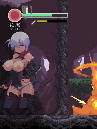 动作ACT/像素全动态/2C丨復讐の夜霧（忍者的冒险）V0.27 生肉【20240710】