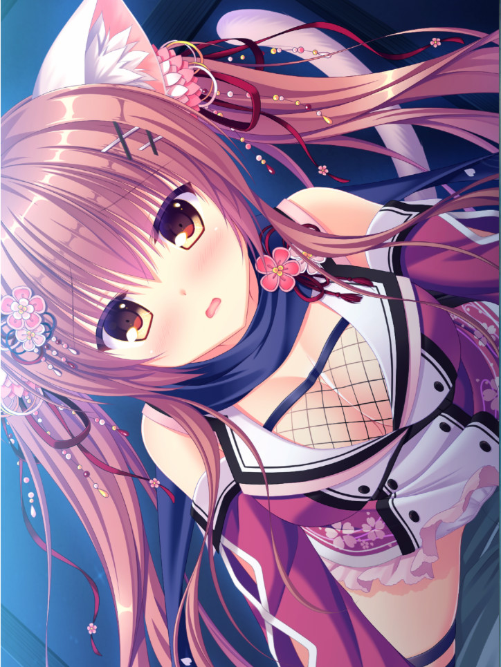 NEKO-NIN exHeart