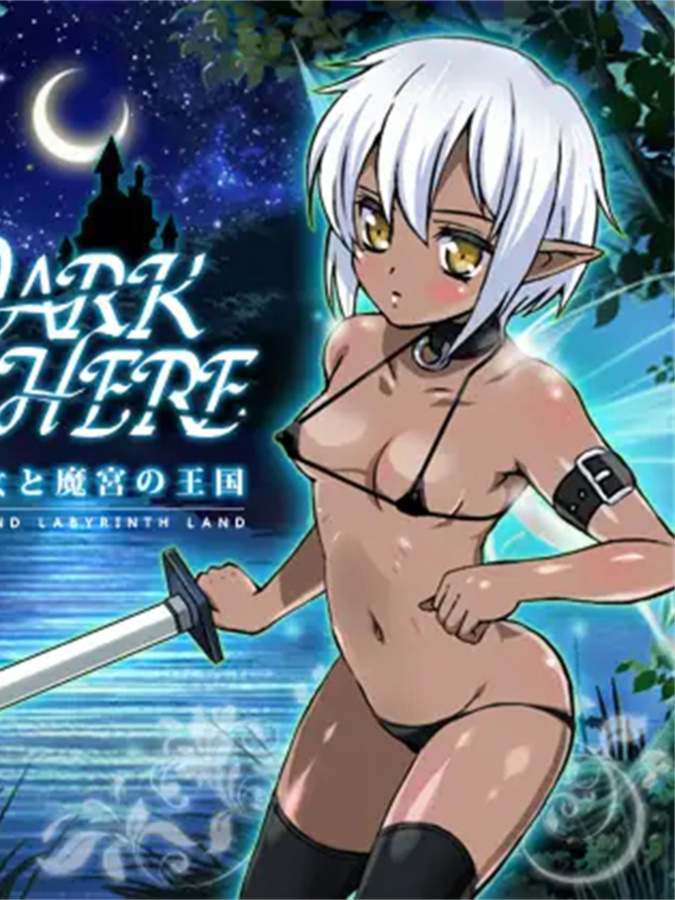 暗黑魔玉~黑肤少女与魔宫的王国~