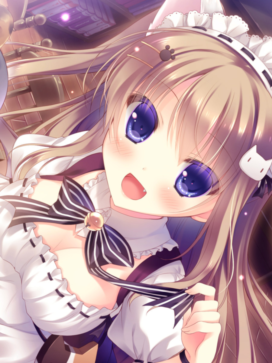 にゃんカフェマキアート ～猫がいるカフェのえっち事情～