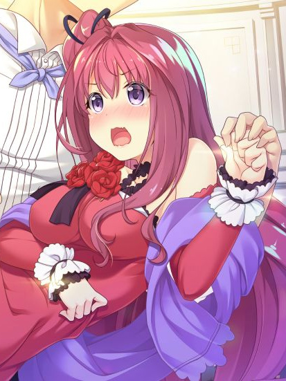 【部分汉化】Harem Kingdom -ハーレムキングダム-