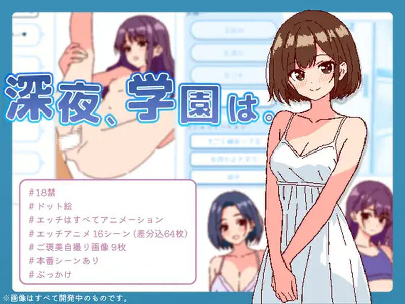 互动SLG/生肉/巨乳/像素/动态/中出/200MB丨深夜,学校。/深夜、学園は。 Ver1.0【20241102】 游戏截图 3