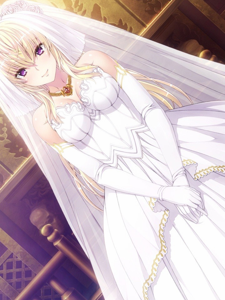 VenusBlood -RAGNAROK- DL版 Ver1.06【20221118】