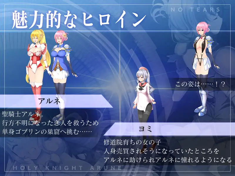 ACT/PC丨圣骑士阿尔内与魔孕的咒印 聖騎士アルネと魔孕の呪印~Another No Tears~ Ver1.0.5 【20241209】 游戏截图 8
