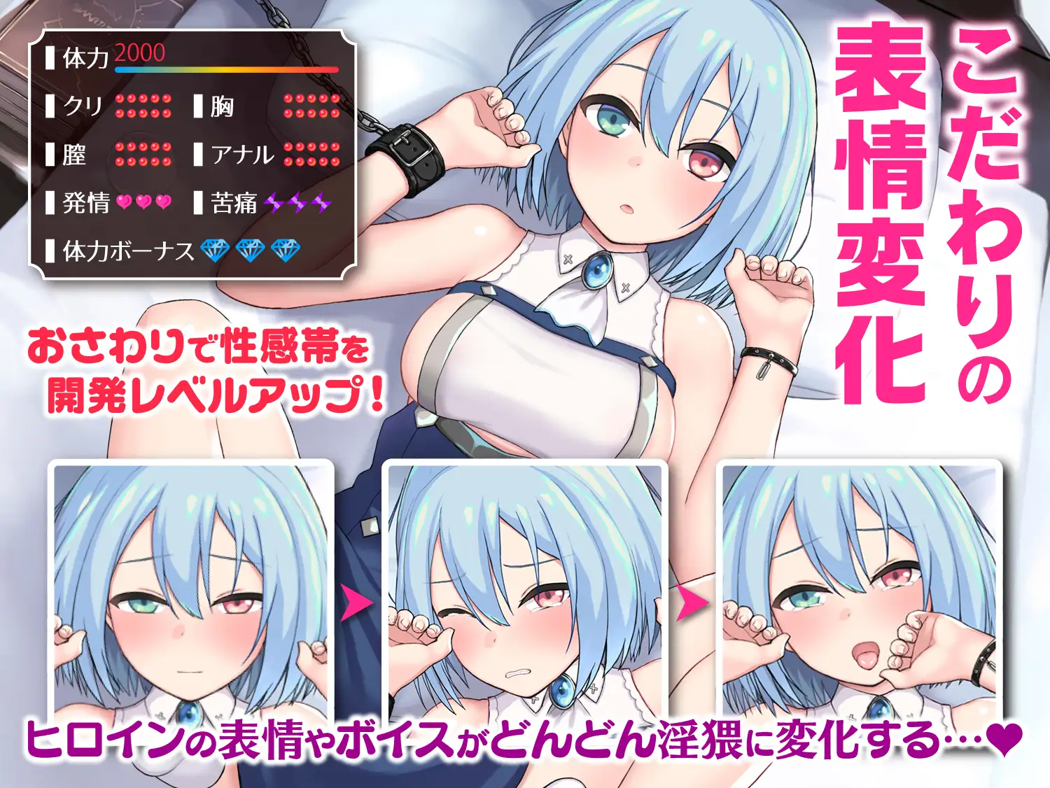 帝国的后宫 インペリアルハーレム～さわって堕とすSLG～ Ver1.30【PC0901】 游戏截图 3