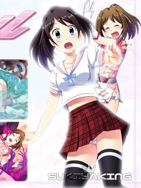 光桜閃姫プリセシールBUG修复内容追加版【PC10月】