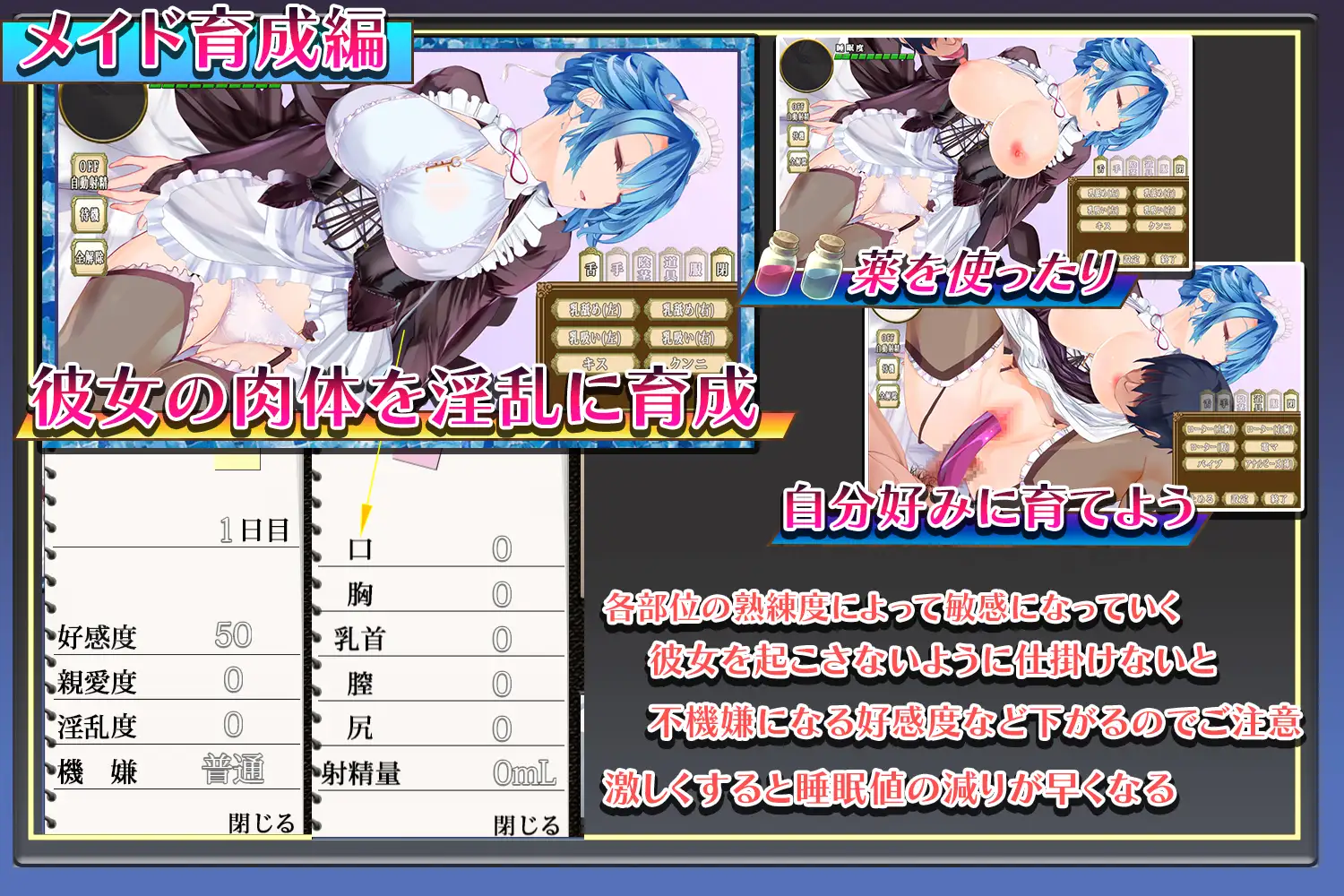 SLG/PC/机翻汉化丨女仆总是在主人身旁 メイドはいつもご主人様の隣に Ver24.05.28 【20240629】 游戏截图 3
