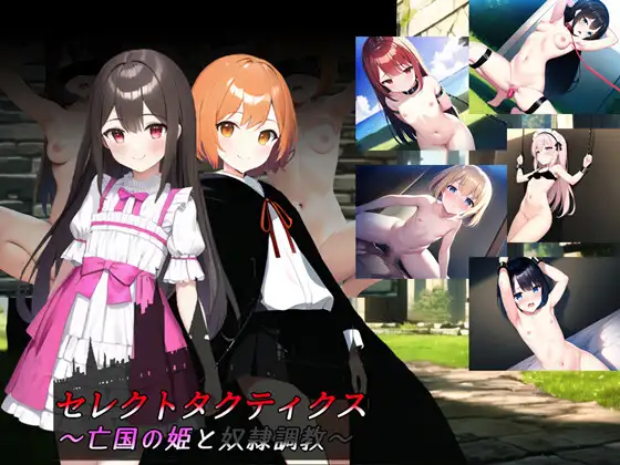 SRPG/机翻丨セレクトタクティクス ~亡国の姫と奴隷調教~ Ver1.04【20240211】 游戏截图 1