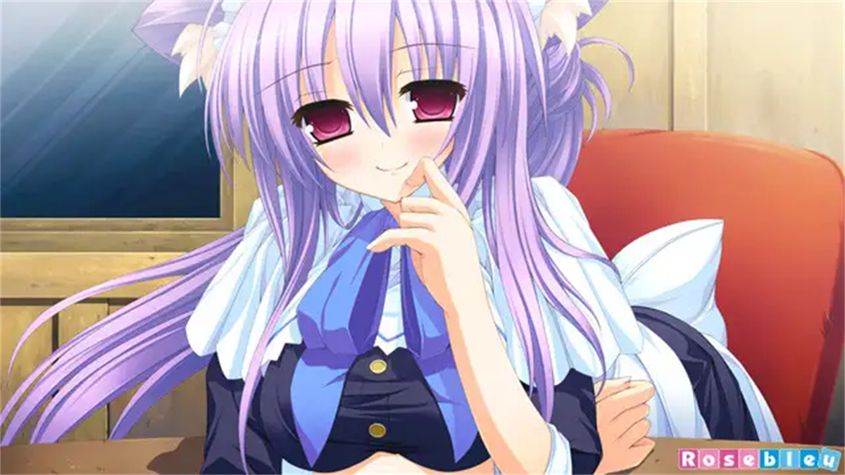 Tiny Dungeon ~BIRTH for YOURS~ 游戏截图 5