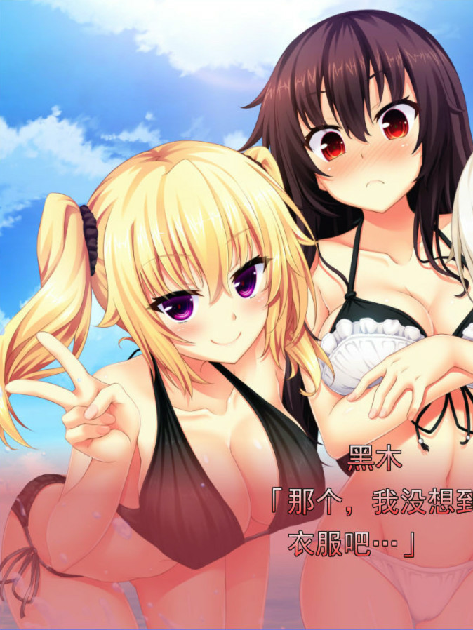 野良与皇女与流浪猫之心 VFB 游戏截图 7