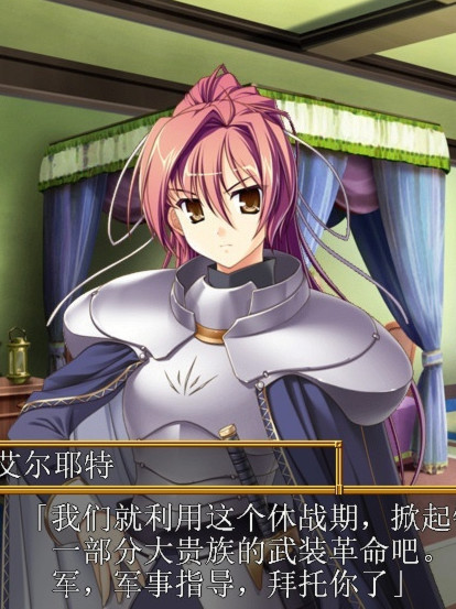 王贼
