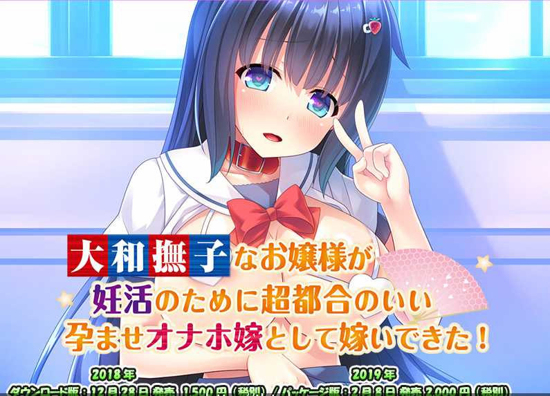 大和抚子千金的抖M绝伦新妻生活!DL正式版【PC0901】 游戏截图 2