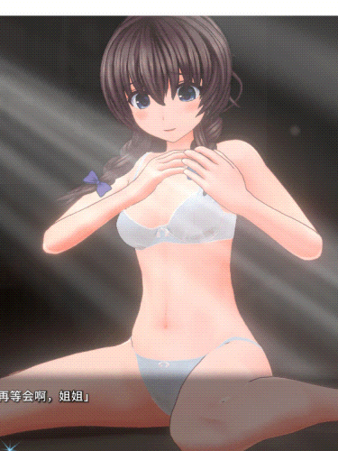 圣骑士莉卡物语：白翼与银翼的姐妹 V1.14 精翻汉化步兵版+全CG存档