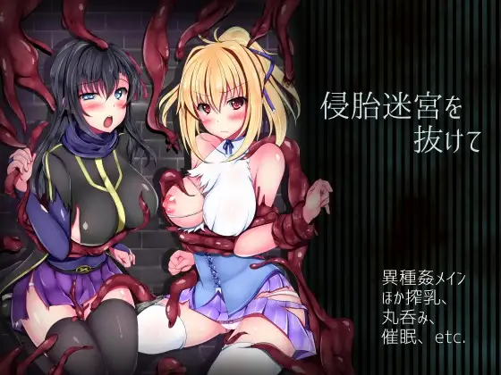 逃離-侵胎迷宮 Ver1.0 完整汉化版+超强初始存档 【20221230】 游戏截图 1
