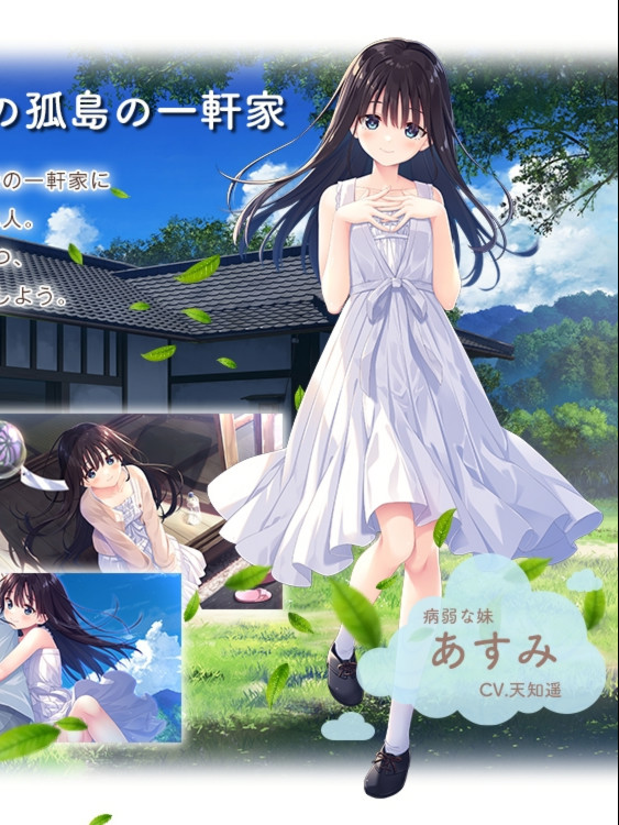 探索RPG/日常/新作丨 沉溺于炽热爱情的乡间隐居的兄长与，充满古典韵味的病弱妹妹 官方中文【20250304】