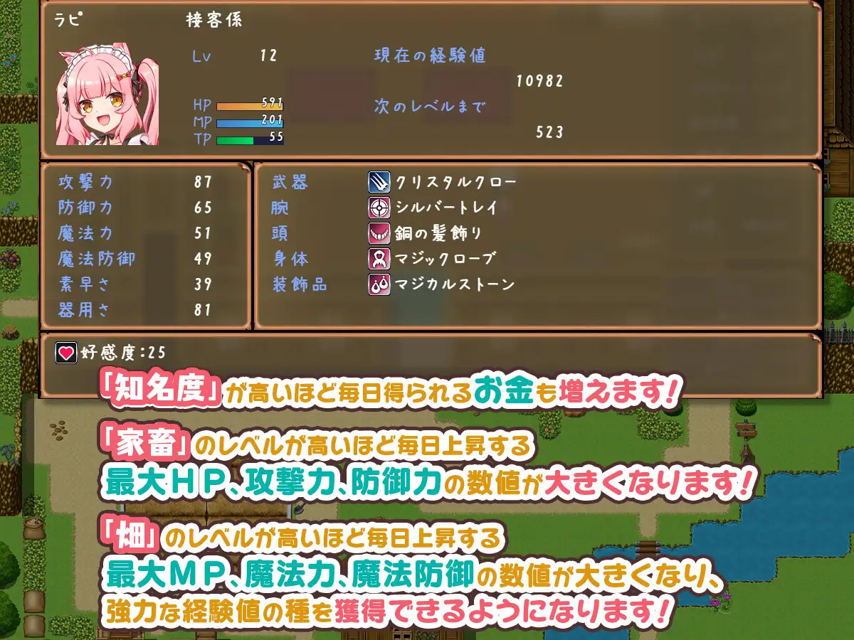 RPG/AI汉化丨 旅店店主和亚人奴隶 Ver1.01 宿屋の店主と亜人奴○～安宿の収入では暮ら 宿屋の店主と亜人奴隷 【20241102】 游戏截图 2