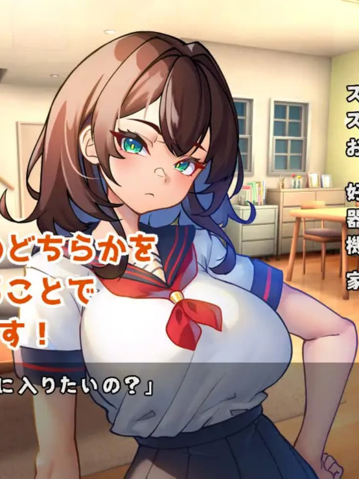 SLG/汉化版丨与JK同居并体验各种生活的游戏/JKと同棲して色々するゲーム【20241117】