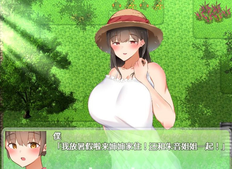 和姐姐一起的夏天 游戏截图 3