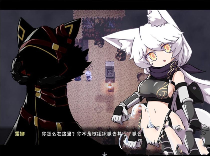 ARPG/官中丨暗影之狼 wolf of shadow V0.7.8.Beat 【20231225】 游戏截图 8