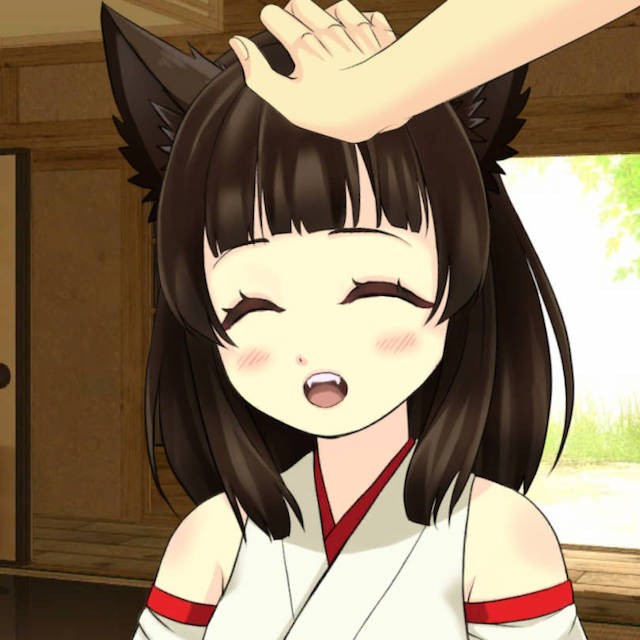 饲养孕犬 