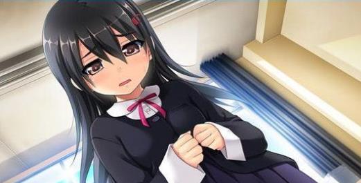 偷窃少女的教育方法 游戏截图 1