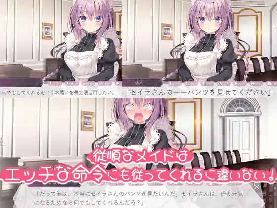 主人~赛拉能用梦一样的爱来服务你吗？DL正式版【PC0901】 游戏截图 3