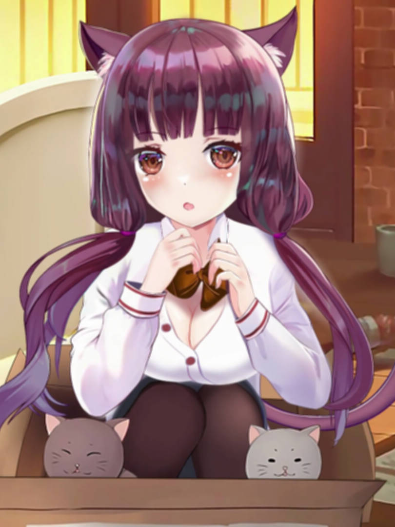 猫咪夜生活/ Neko Office: Nightlife Adventures 带作弊 Bui:10954970【20230502】 游戏截图 4
