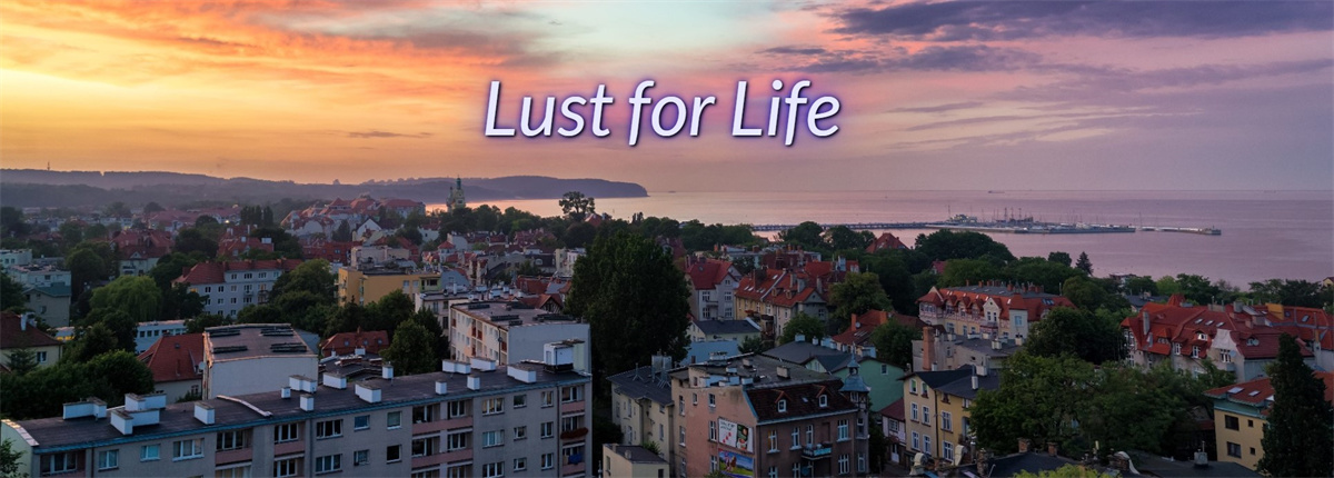 现实真人HTML浏览器汉化丨对生活的渴望 Lust for Life v0.37【20230913】 游戏截图 4