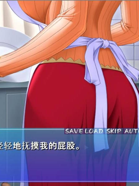银母公寓！云汉化版+动画步兵汉化版