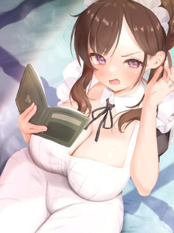 SLG/官中丨妈妈为何这样/HeMaidHerFall Ver0.3.0 【20241225】