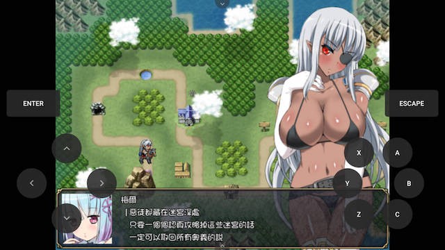堕落的暗黑女战士 游戏截图 3