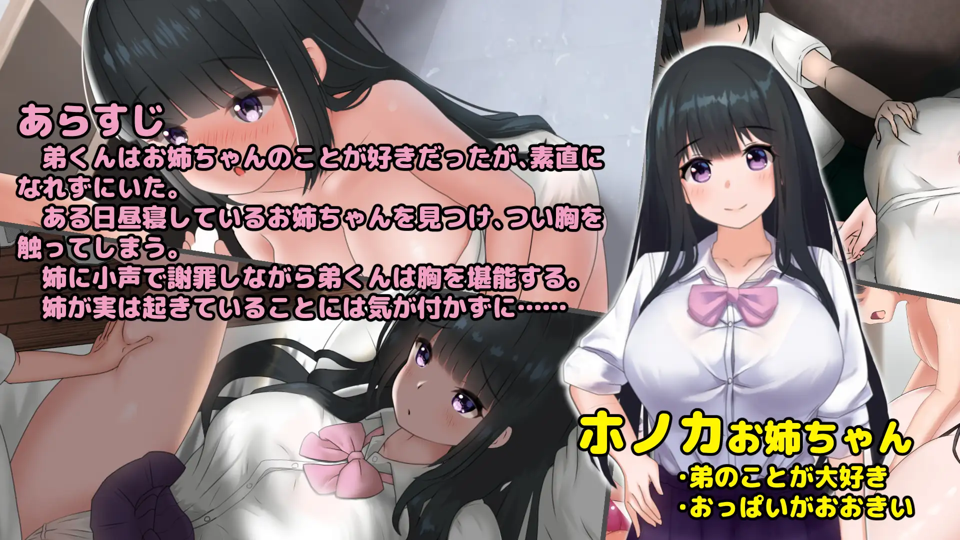 希望被弟袭击的姐姐LIVE2D お姉ちゃんは弟くんに襲われたい!～Live2Dお..V1.01【20221230】 游戏截图 3