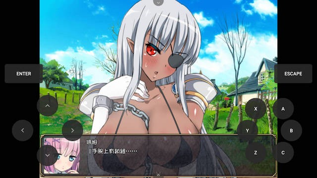 堕落的暗黑女战士 游戏截图 4