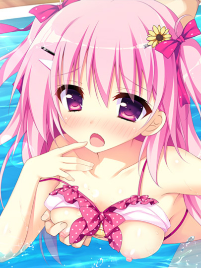 【生肉】ナツイロココロログ～Happy Summer～