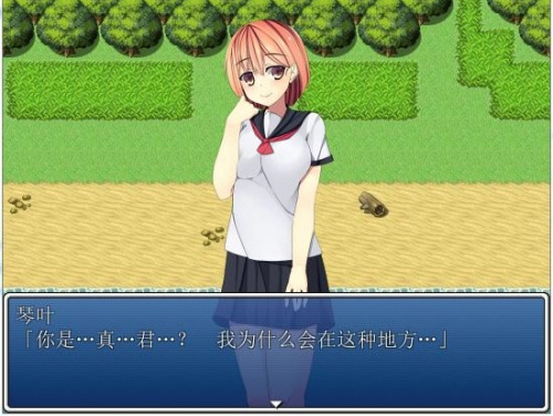 后宫无人岛 游戏截图 1