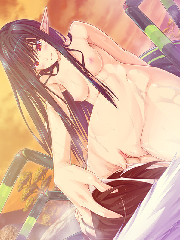 拔作ADV/同居魔物娘/2C丨与魔物娘们的乐园～蜘蛛与鸟与◎～V1.0 AI汉化+全CG【20240820】