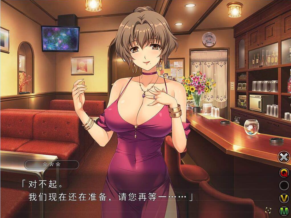妻中蜜3完整汉化版 游戏截图 2