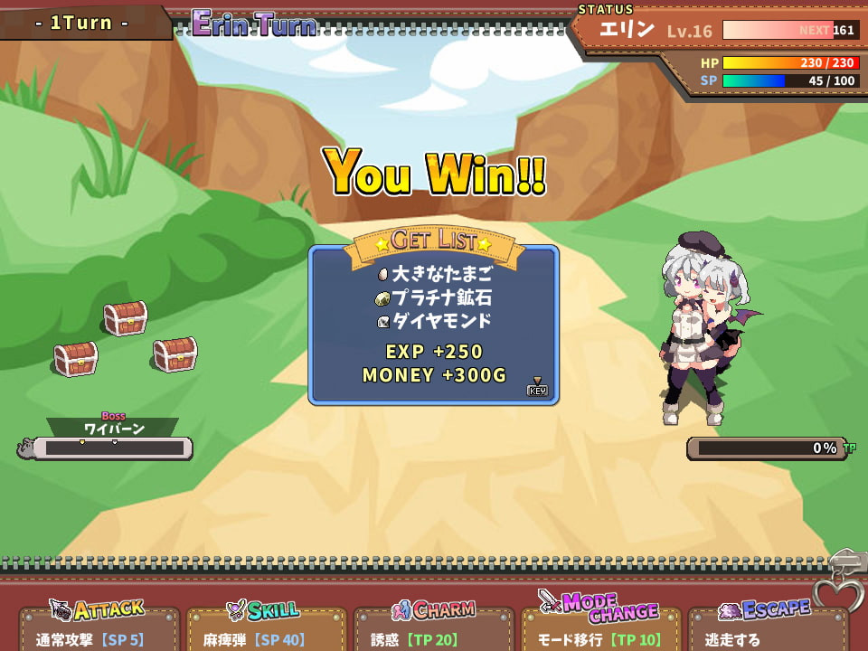 女骑士艾琳：Knight of Erin Ver1.06 精翻汉化版【20221230】 游戏截图 3
