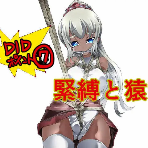DIDRPG~SS~王国骑士和拟态迷宫 精翻汉化版