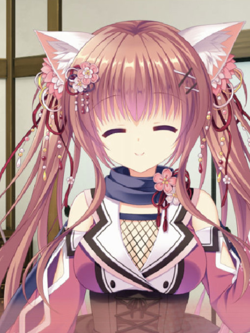 NEKO-NIN exHeart +PLUS Saiha