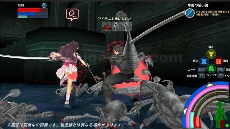 3D动作ACT/汉化/动态丨封锁迷宫转生「炬独之迷宫」/封鎖迷宮転生「炬獨の迷宮」Ver1.03 机翻汉化版【20240512】 游戏截图 4