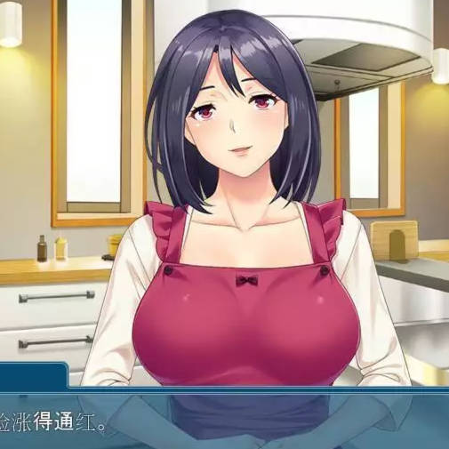 傲娇的母亲被崽种征服！云汉化版+CG包