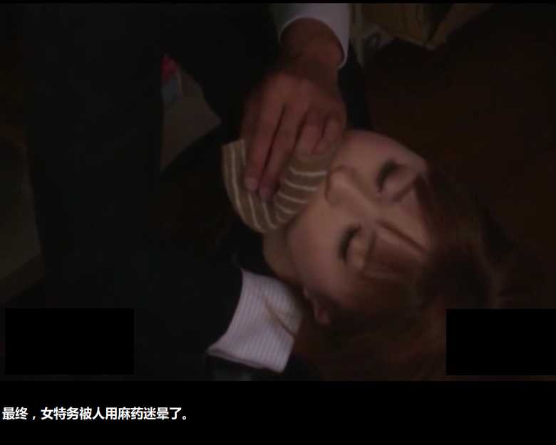 征服日之岛 逍遥大大制作完整版! 游戏截图 8